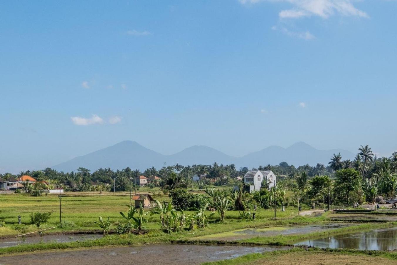 Villa Cakra - 4 Bedroom Luxury With Infinity Pool And Paddy Field View Ubud